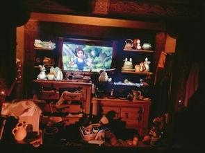 日韩玩上海迪士尼视频,欢乐时光精彩瞬间回顾