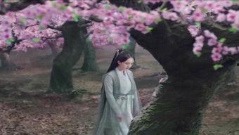 日韩快闪视频在线播放,瞬间点燃网络，在线播放热潮席卷全球