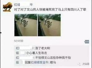 日韩群体性视频,潮流文化下的社交新现象