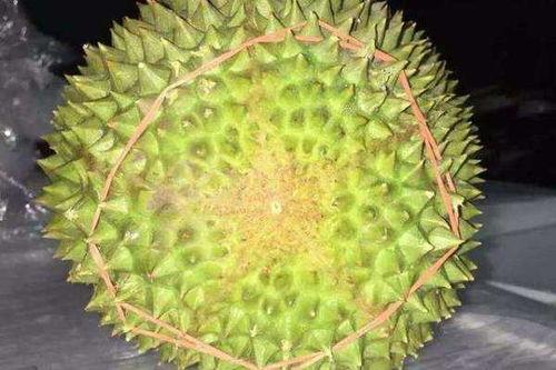 榴莲视频日韩三级无码,日韩三级无码内容深度解析